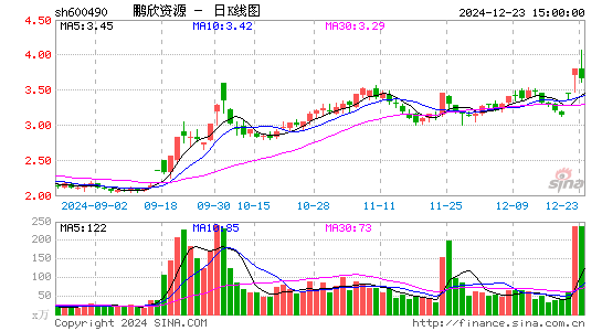 鹏欣资源