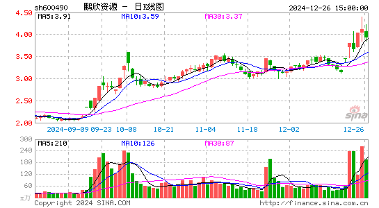 鹏欣资源