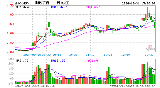 鹏欣资源