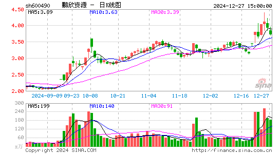 鹏欣资源