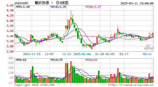 鹏欣资源