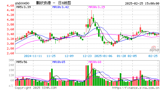 鹏欣资源