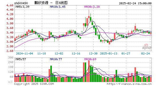 鹏欣资源