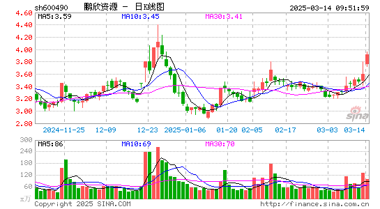 鹏欣资源