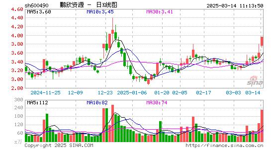 鹏欣资源