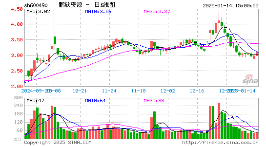 鹏欣资源