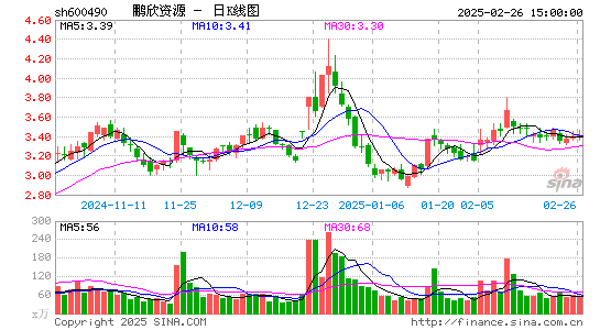 鹏欣资源