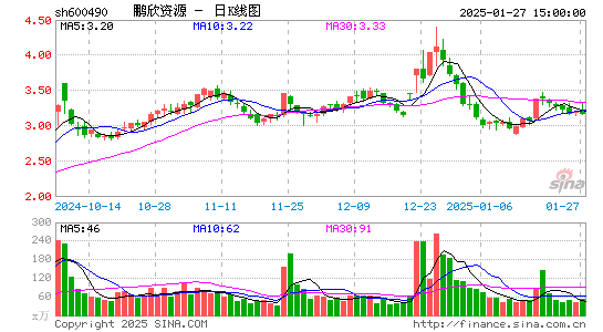 鹏欣资源