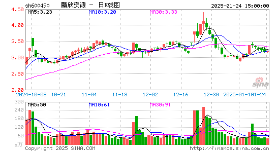 鹏欣资源