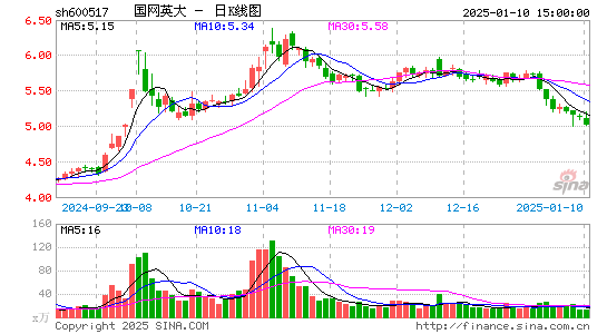 国网英大