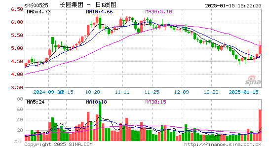 长园集团