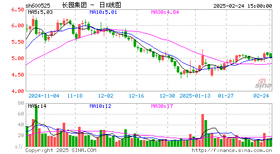 长园集团