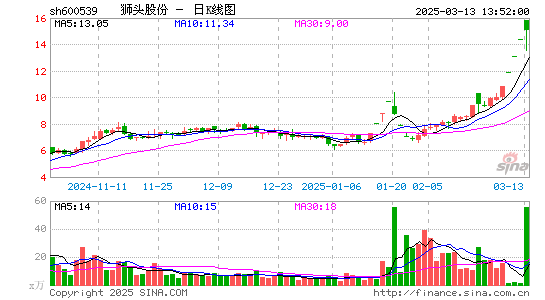 狮头股份