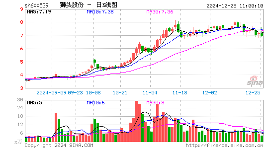 狮头股份