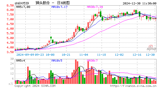 狮头股份