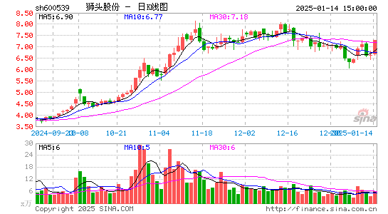 狮头股份