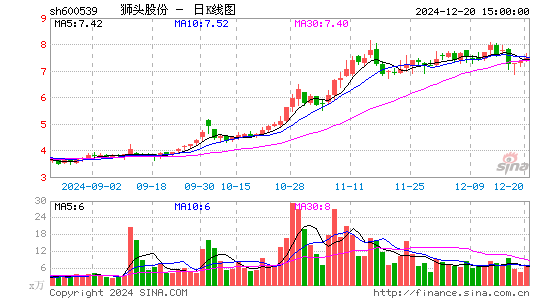 狮头股份