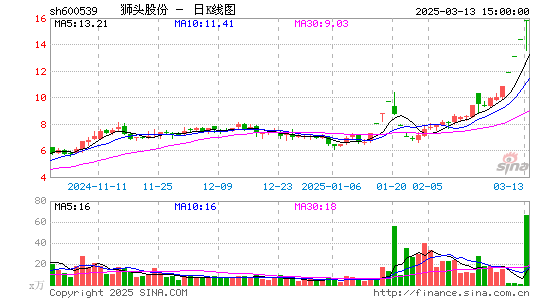 狮头股份