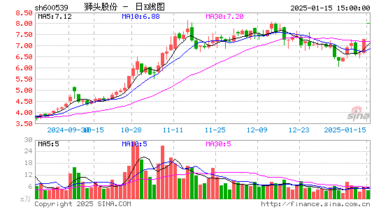 狮头股份