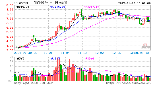 狮头股份