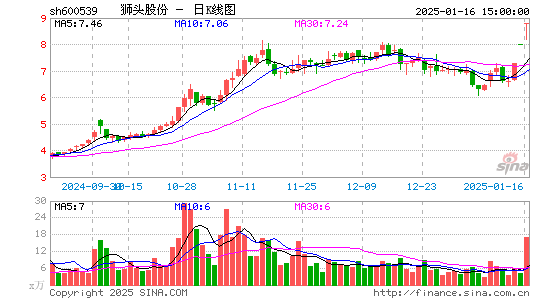 狮头股份