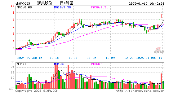 狮头股份