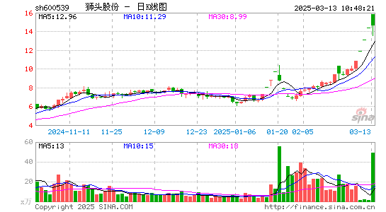 狮头股份