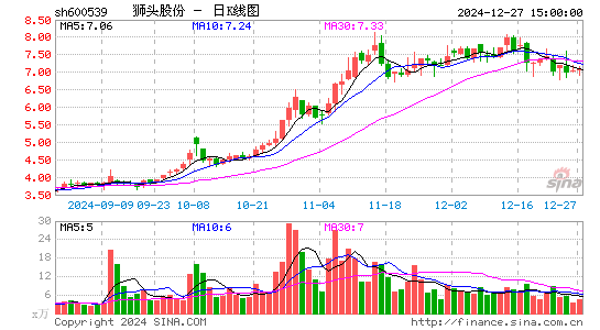 狮头股份