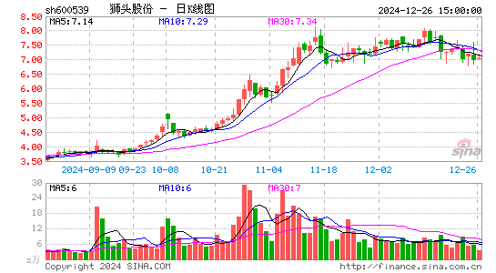 狮头股份