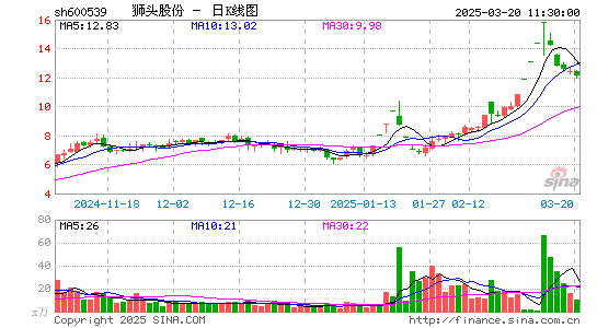 狮头股份