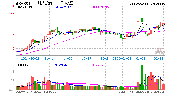 狮头股份