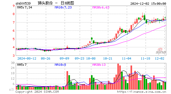 狮头股份