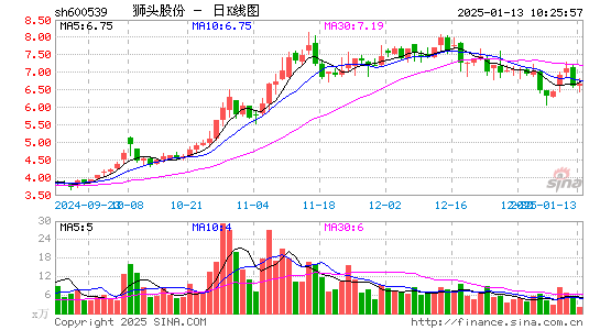 狮头股份