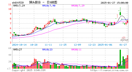 狮头股份