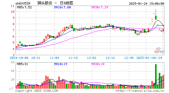 狮头股份