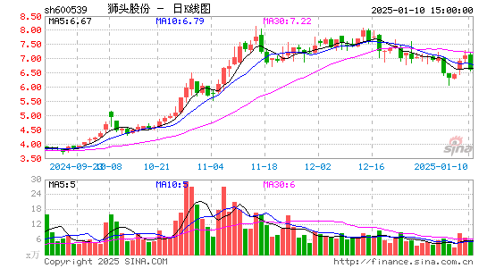 狮头股份