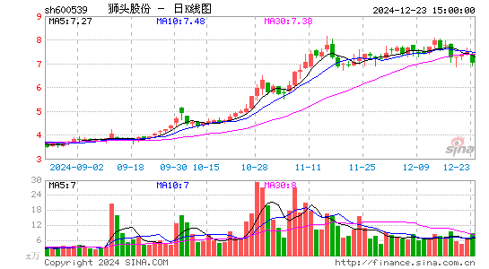 狮头股份