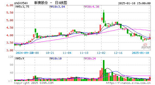 新赛股份