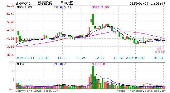 新赛股份