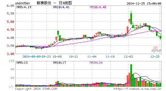 新赛股份