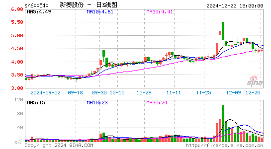 新赛股份