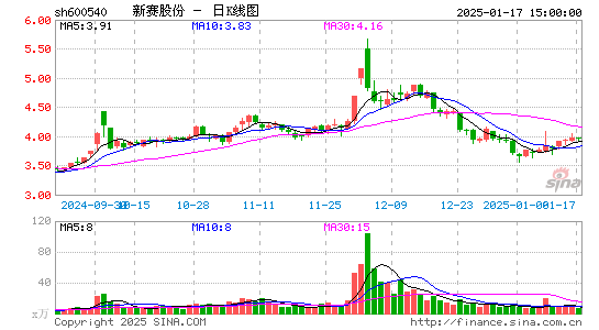 新赛股份