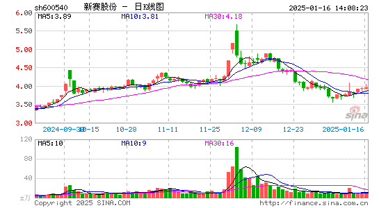 新赛股份