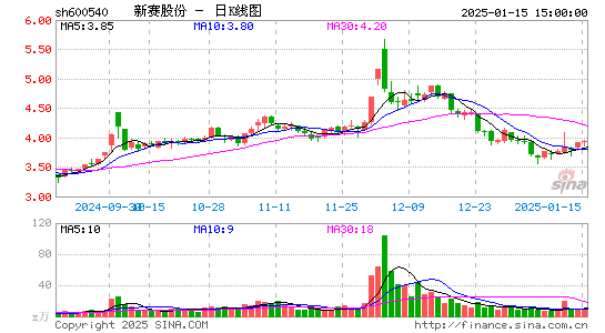 新赛股份