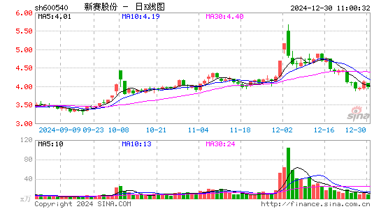 新赛股份