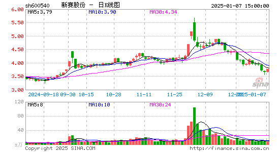 新赛股份