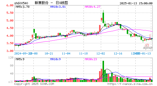 新赛股份