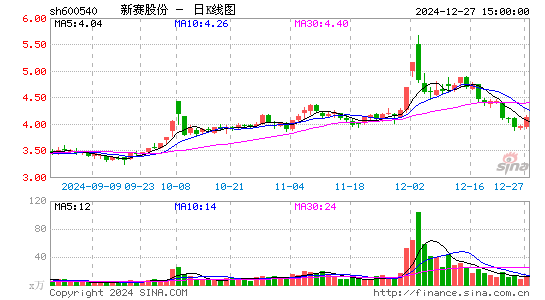 新赛股份