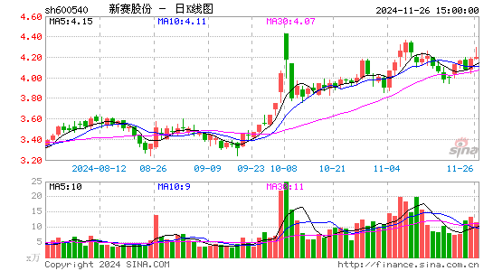 新赛股份