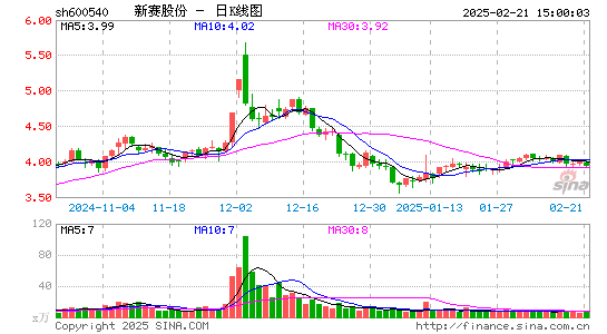 新赛股份